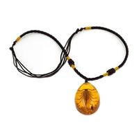 Zonster Amber Round Ball Pendant Insect Stone Natural Scorpions Inclusion Amber Baltic Pendant Necklace Home Decorative Stone Wedding Party Travel Gift, 24x17x10mm