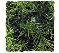 Zoo Med BU-18 Cashuarina, Small