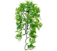 Mexican Phyllo Plastic Plant, Medium - M/46 cm