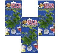 Zoo Med Laboratories AZMBP20 Betta Plant Philo