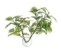 Zoo Med Laboratories AZMBP25 Betta Plant Window Leaf