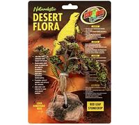 Zoo Med Red Leaf Stonecrop Desert Flora Terrarium Plant