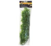 Zoo Med SP-10 Madagascar Bamboo, Large