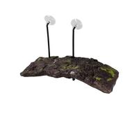 ZOOMED FLOATING TURTLE TERRAPIN DOCK WITH SUCKERS TURTLE TERRAPIN PLATFORM