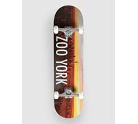 ZOO YORK Sunrise 8.25" Complete multi Uni