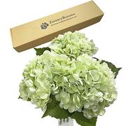 ZooeyRoose 3 pcs Green Hydrangea Artificial 21" Royal Real Touch Hydrangea Heads with Stems Lifelike Artificial Flowers for DIY Arrangements Wedding Bouquets Floral Home Festival Decorations