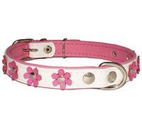 Zooleszcz LEATHER DOG COLLAR FLOWER Designer DAISY COLOUR PADDED Handmade WHITE with PINK lining and PINK FLOWER (20" 2.0cm wide/ 50cm long)