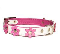 Zooleszcz LEATHER DOG COLLAR FLOWER Designer DAISY COLOUR PADDED Handmade WHITE with PINK lining and PINK FLOWER (10" 1.2cm wide/ 25cm long)