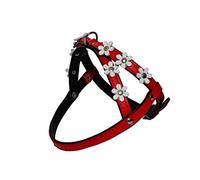 Zooleszcz RED with BLACK lining and WHITH FLOWERS DAISY SOFT LEATHER DOG PUPPY FLOWER DAISY Designer HARNESS COLOUR PADDED (extra small)