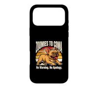 Zoomies To Coma No Warning No Apology French Bulldog Case for iPhone 17 Pro Max
