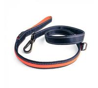 Zoon Flash & Go Usb Light Up Rechargeable Dog Lead 120Cm