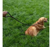 Zoon Primo Walkabout Dog Slip Lead 150 cm - Black
