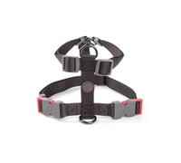 Zoon Dog Harness - Black - Size: Medium