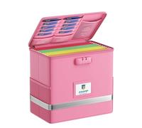 ZOOPIP Fireproof File Box with Lock, Collapsible Document Organizer, Pink | Suitable for Hanging Folders in Letter Size, Reflective Strip for Fast Find, Home Office Safe Protection,12.2"x6"x10.2"