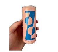 Zooz Drinks | Elevate Nootropic Mushroom Drink | Lion’s Mane, & Ginseng | Clean Focus & Energy | 250ml | Refreshing Citrus Flavour (12 Pack)