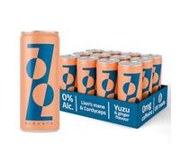 ZOOZ Elevate Functional Mushroom Drink for Focus & Clarity - Lion's Mane & Cordyceps - Yuzu & Ginger - Honey-Sweetened, No Flavourings | 12 × 250 ml