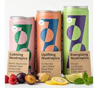 ZOOZ Mix Pack - Activate, Elevate & Meditate - Functional Drinks with Shilajit, Lion's Mane & Reishi - Natural Energy, Focus & Calm | 12 × Mixed Cans
