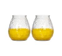 ZOPPER Citronella Candle 2 Pack, 40 Hour Burn Time, Glass Jar