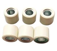 Zorlun 6Pcs 25x22mm 16g Primary Variator Roller Compatible With RV250 CityCom300i Joymax300 GTS300 Quadlander250 Quadlander300 Scooter Pulley Kit