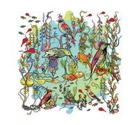 Zorn, John - The Dreamers - The Gentle Side [VINYL]