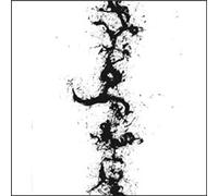 Zorn, John - The True Discoveries of Witches and Demons