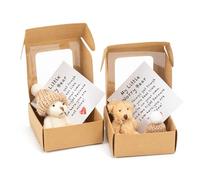 Zoruam 2 PCS My Little Worry Bear in a Box, Mini Plush Bears Set, Little Bear in a Box Gift for Friends Family Children, Decoration Positive with Cards & Hats (Brown & White)