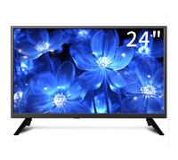 ZOSHING 24 Inch Small TV, DVB-T/T2/ FreeView HD Digital Audio, full view Reduction Color Engine LED Backlighting,AC/DC-12V in/HDMI/VGA/USB Media Play