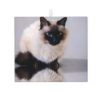 Zouey Absorbent Dishes Drainer Mats,Dish Drying Pad Kitchen Counter Sink Mat 41X46 cm,Domestic Fur Animal Cat Bali