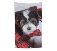 Zouey Biewer Terrier Puppies,Throw For Couch Chairs,Blanket Warm Plush Throw Blanket for Bedding and Travel 30 x 50 inches