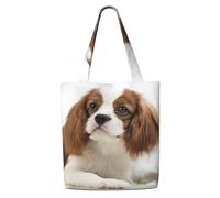 Zouey Canvas Tote Bag for Women,Capacity Shoulder Handbags Tote Bags Reusable Grocery,Cavalier King Charles Spaniel Brown Spaniel