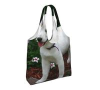 Zouey Single-shoulder Canvas Bag, Canvas Tote for Women,Shoulder Handbags Grocery Bag,Shiba Inu Puppy