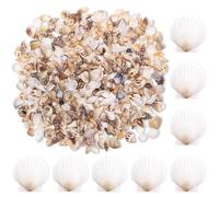 Zourglow 1000 Pcs Sea Shells Mixed Beach Seashells