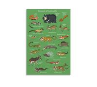 ZOZO HOUSE Introduction to the Mammals Wall Art 20 x 30 inches (50 x 75 cm)