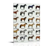 ZOZO HOUSE Presentation of horses from different countries, poster decoration, 16 x 24 inches (40 x 60 cm)