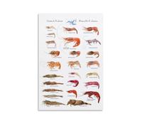 ZOZO HOUSE Shrimp from The St. Lawrence River Poster Decoration 08x12inch (20x30cm)
