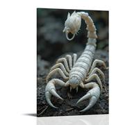 ZOZO HOUSE White Scorpion on The Rock Canvas 24 x 36 inches (60 x 90 cm)