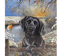 ZOZOIN Black Labrador Dog Paint by Number Kits Canvas DIY Oil Painting for Kids, Students, Adults Beginner with Brushes and Acrylic Pigment 40x40cm