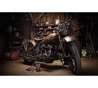 ZOZOIN Painting by Numbers Set for Adults Children Beginners Paint by Numbers On Canvas for Home Decoration Motorbike - 40x50cm