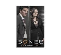 ZPAUEHFB Poster for The TV Series Bones Season 2 Poster Decorative Painting Canvas Wall Posters And Art Picture Print Modern Family Bedroom Decor Posters 08x12inch(20x30cm)