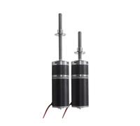 ZPC1CS81 100kg 36mm 36ZY M8 100mm/50mm Threaded Long Shaft Planetary DC Reducer Motor Screw with Large Torque 12V24V
