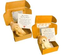 ZPSCXQ 2 PCS Worry Bear, Little Worry Bear in a Box, Mini Plush Bears Set, Pocket Hug for Anxiety Relief, Birthday Christmas Valentine's Day Gift, White and Brown