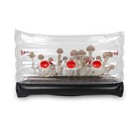 ZPSHYD Large Square Inflatable Mushroom Monotub Kit - Easy Storage, Bag Savings - for Your Fungi Cultivation