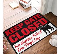 ZPSS Game Welcome Mat - Keep Gate Closed No Matter What The Pug Say Cloud | Room Decorations Aesthetic - Cool Room Accessories For Teens Boys/Things For Room & Custom Welcome For(40X60CM)