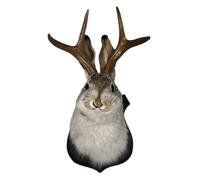 ZPZVEBEKK Antlers Wall Decor Animal Head Wall Decor Resin Deer Bunny Head Antlers Wall Mount Realistic Faux Taxidermy Jackalope Wall Art Hanging Decoration Wooden Antler Rabbit Head For Home Office