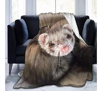 ZQBDFC Throw Blanket Ferrets On Sofa Ultra-Soft Micro Fleece Blanket Throw Super Soft Cozy Bed Blanket for Bed Sofa Couch Living Room Beach Picnic Fall Spring Winter Use Throw Blanket