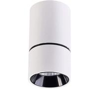 ZQBHK ceiling light, 10wcob anti-glare wall mounted spotlight multi-standard home interior decoration lighting spotlight energy-saving aluminum alloy round black and white ceiling lamp outdoor light