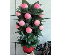 ZQION 10 Roses Blooming Flower Remote Control Magic Prop for Weddings & Parties Flower Trick Instant Blooming Rose Tree for Magicians Stage Magic Tricks Props (10pcs Peach)