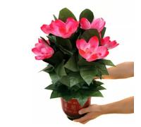 ZQION 10 Roses Blooming Flower Remote Control Magic Prop for Weddings & Parties Flower Trick Instant Blooming Rose Tree for Magicians Stage Magic Tricks Props (10pcs Lotus)