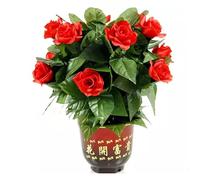 ZQION 10 Roses Blooming Flower Remote Control Magic Prop for Weddings & Parties Flower Trick Instant Blooming Rose Tree for Magicians Stage Magic Tricks Props (Red Rose)