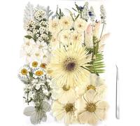 ZQmino A4 Large Dried Pressed Flowers for Resin White Pressed Flowers Real Dry Natural Flowers Leaves for Resin Mold Cake Candle Making Phone Cases Scrapbooking DIY Art Crafts (White), (001)